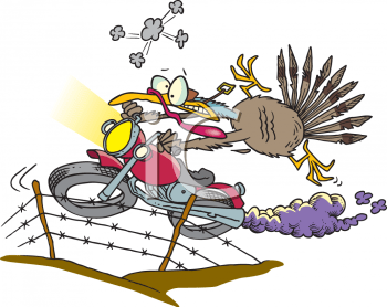 111_daring_turkey_riding_a_mot
