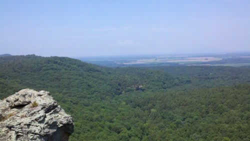 2011-07-02_11-59-42_490