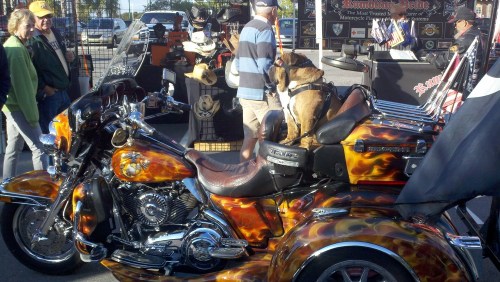 2011-10-19_16-32-55_890