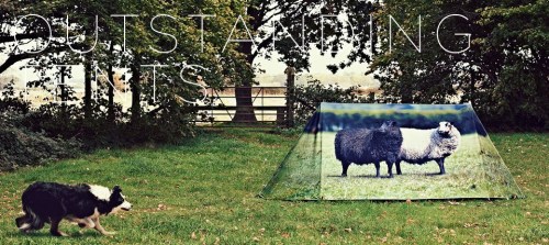 Animal-farm-2_d885fa53f292ed3fd75b2d88757f24af