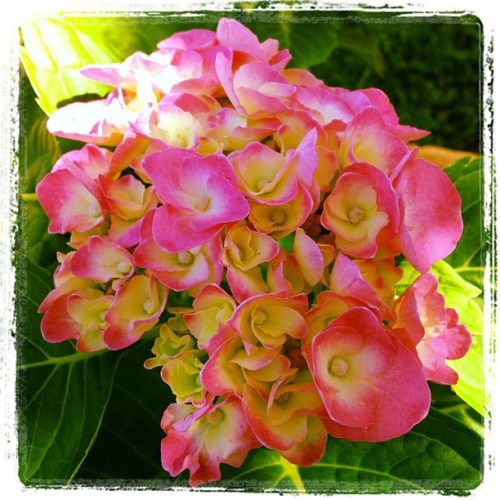 Media_httpdistilleryi_nbjzn